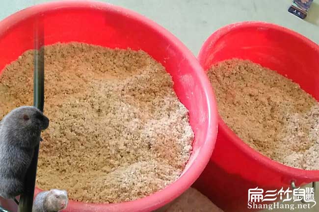 竹鼠食物米糠