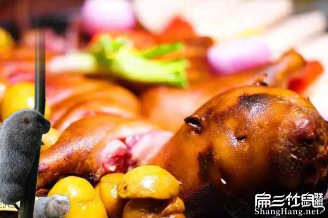 紅燒竹鼠肉批發