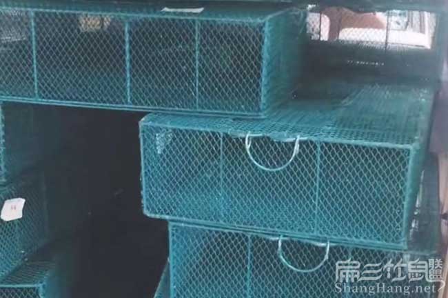 竹鼠養殖基地