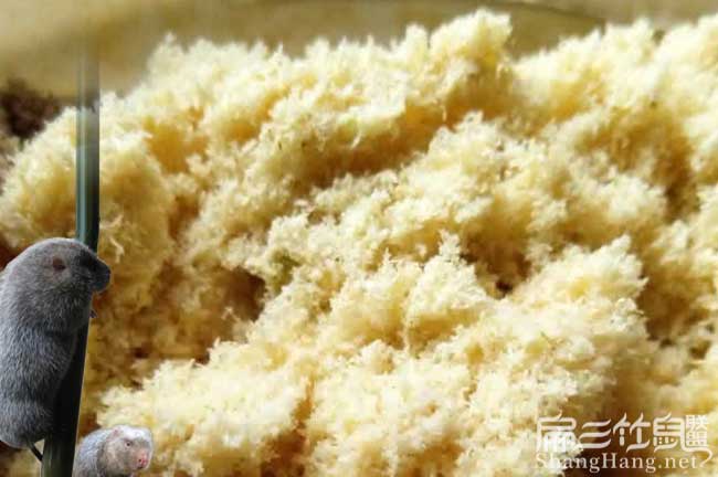 竹鼠養殖要的條件