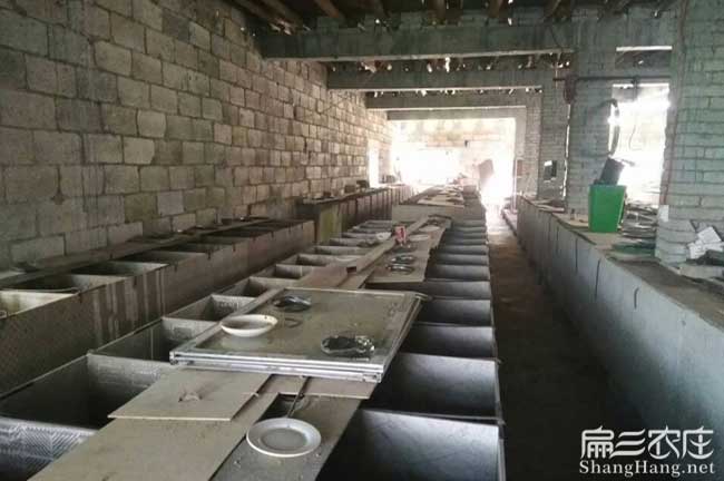 竹鼠養殖注意問題