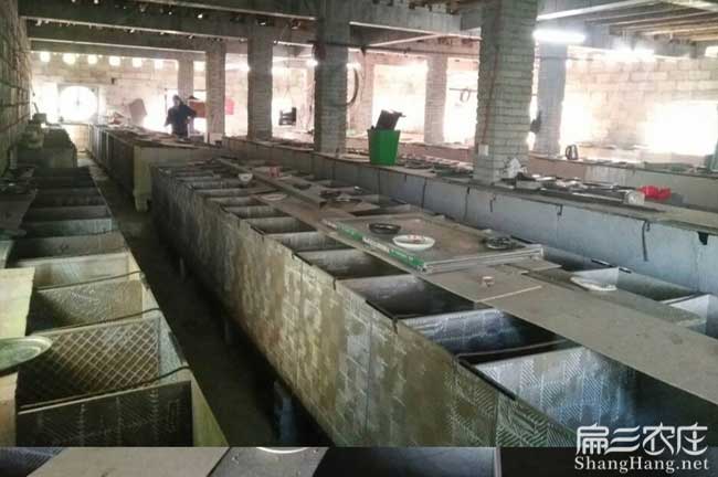 貴州養殖基地