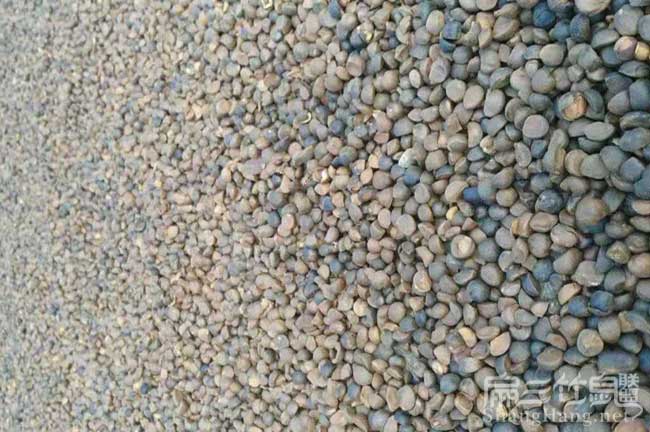 來賓茶籽批發