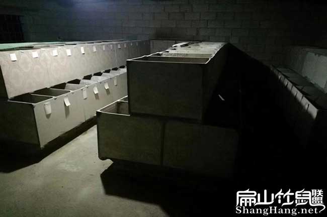 您好！我們里水扁山竹