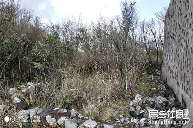 養鼠主要難在技術，至