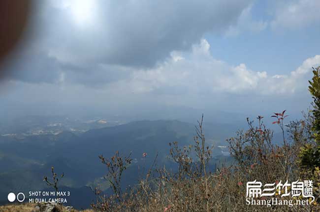 竹鼠廠家石城建設材料
