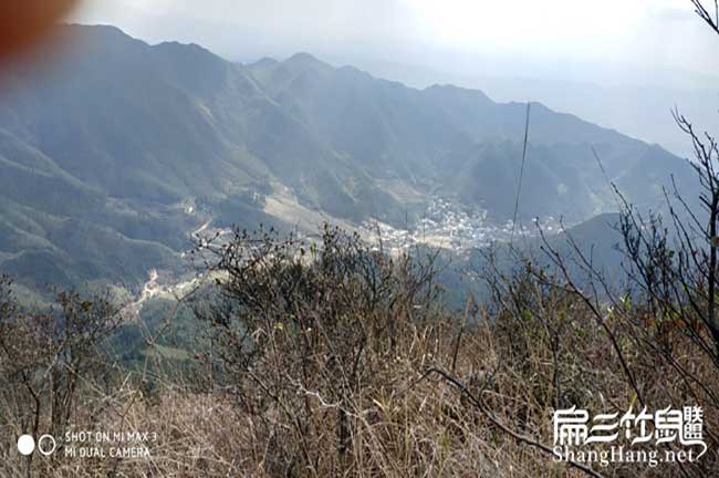 在中國龍海竹鼠產量和