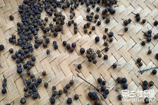 竹鼠鴨腳木