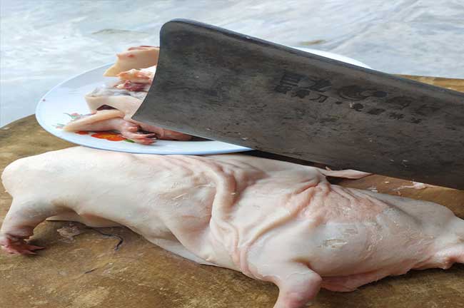 桂林竹鼠批發