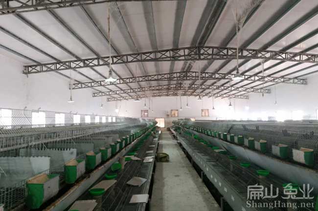 中國種兔基地
