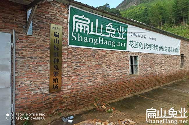 龍巖標準種兔繁殖場