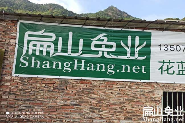 泉州竹鼠養殖場