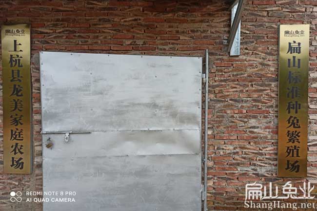 福建標準種兔繁殖場