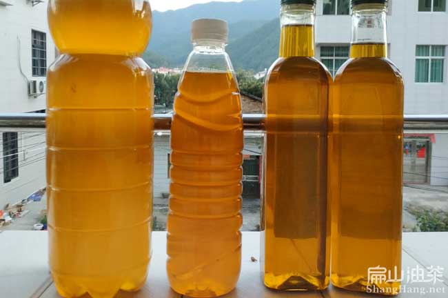 貴州茶油批發