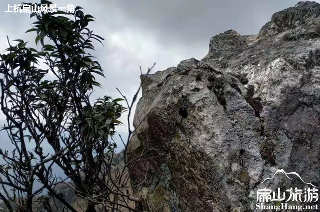 龍巖扁山平年風霜石頭