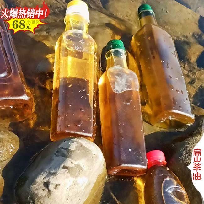 湛江云浮野生茶油批發 陽江韶關山茶油價格榨油廠家1-2-5斤