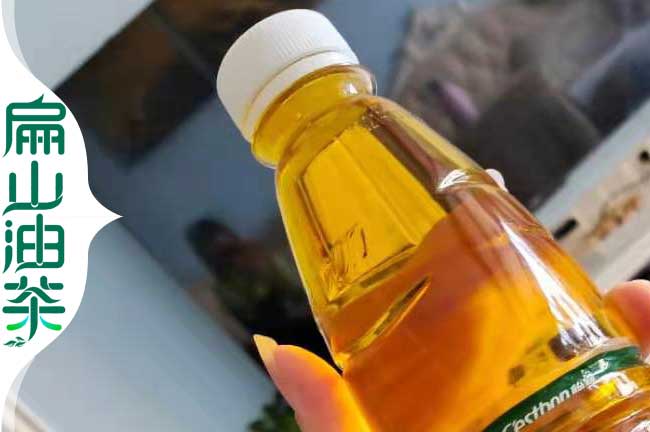 南平茶籽油批發