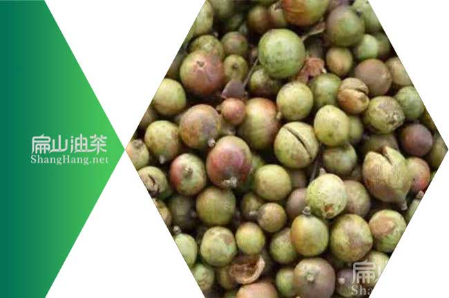 中國茶籽加工