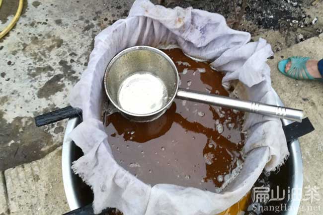 珠海山茶油批發 珠海油茶種植基地 廣東珠海油茶基地-扁山油茶