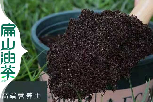 油茶有機肥料