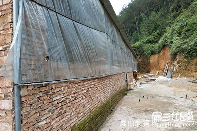 揭陽肉兔養殖場