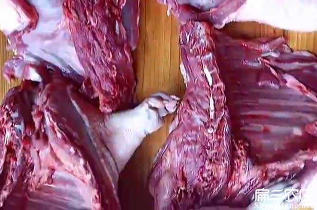 浙江舟山肉兔養殖杭州衢州肉兔種苗批發價格多少錢一只