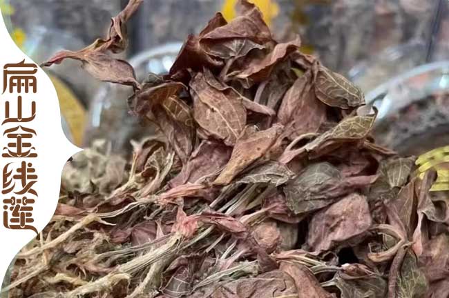 南寧金線蓮干貨批發