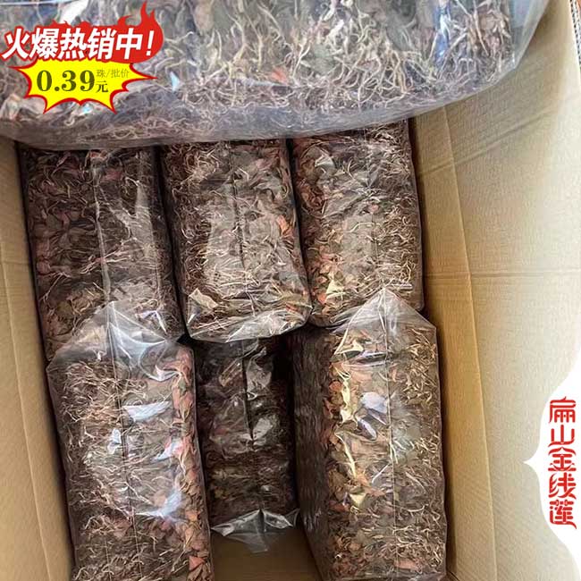 漳州金線蓮干貨批發