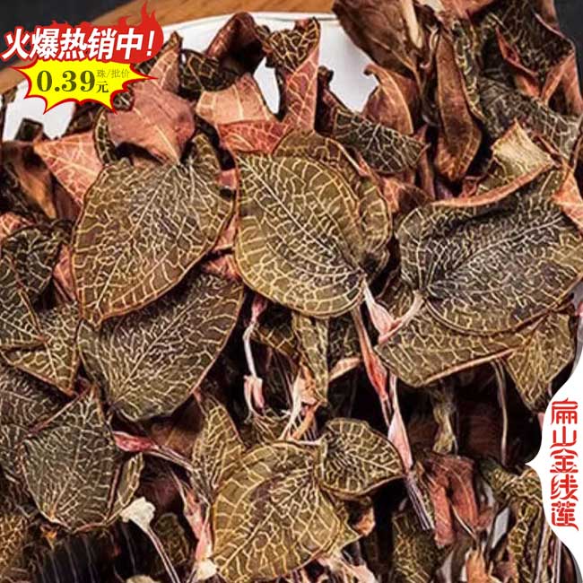福建金線蓮干貨批發