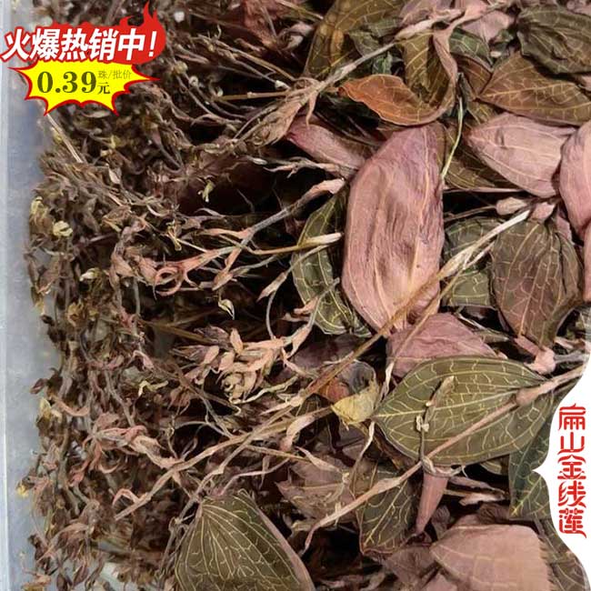 漳州金線蓮干貨批發