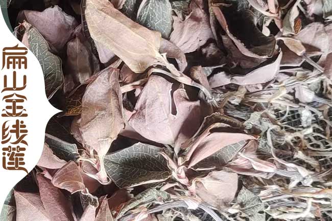 德宏金線蓮干貨批發