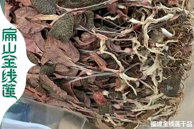 咸陽金線蓮干貨批發
