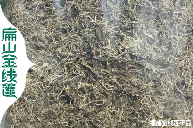 宜君金線蓮干貨批發
