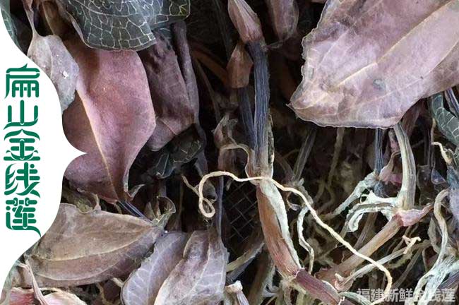 宿州金線蓮干品批發