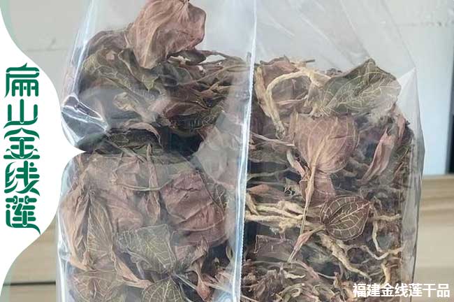陽泉金線蓮干品