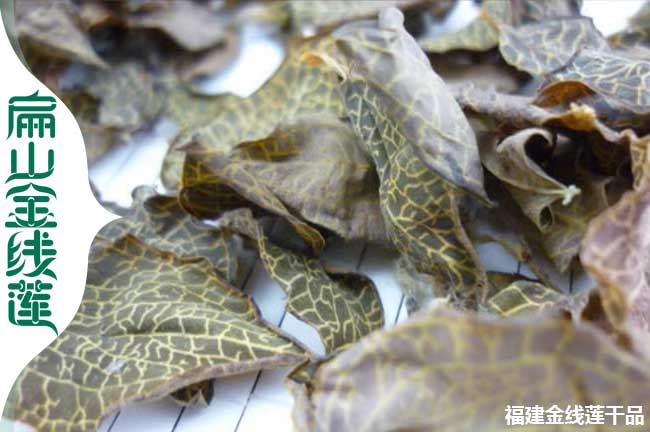 蘭州金線蓮干貨批發