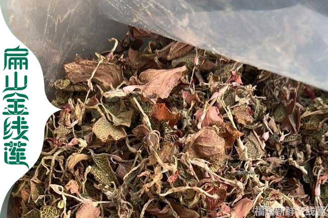 渭南金線蓮干品批發
