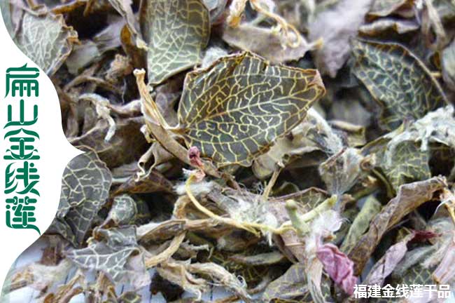 合肥金線蓮干品批發