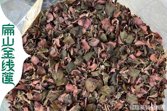 福州金線蓮干貨批發