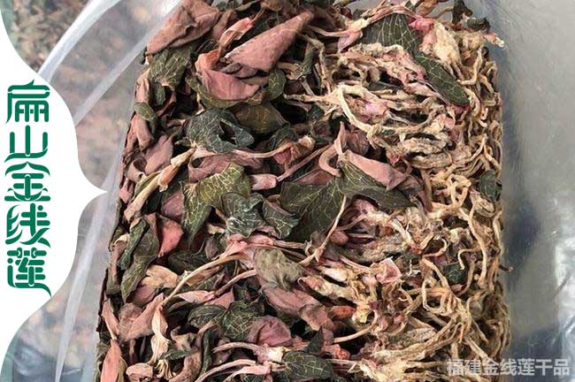商洛金線蓮干貨批發