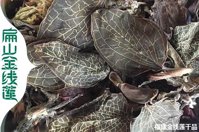 有宜賓金線蓮種苗培育 宜賓標準化干貨基地種植0.66元/珠