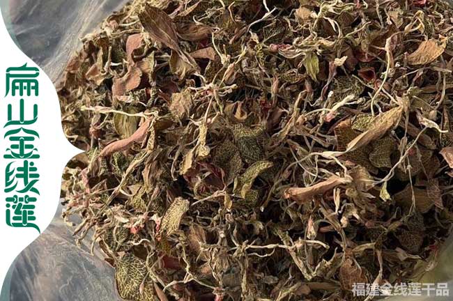 石家莊金線蓮干貨批發