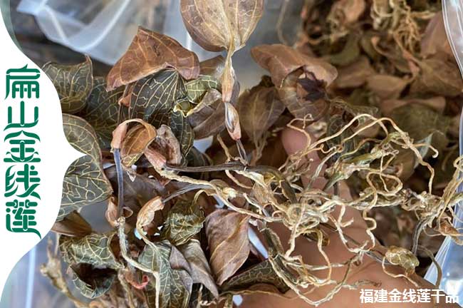 仙桃金線蓮干貨批發