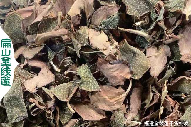 貴港金線蓮干貨批發