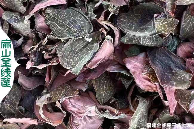 湖南金線蓮干貨批發