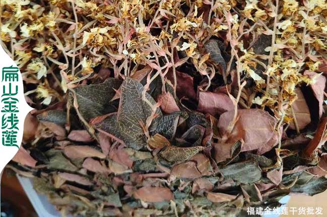 榆林金線蓮干貨批發