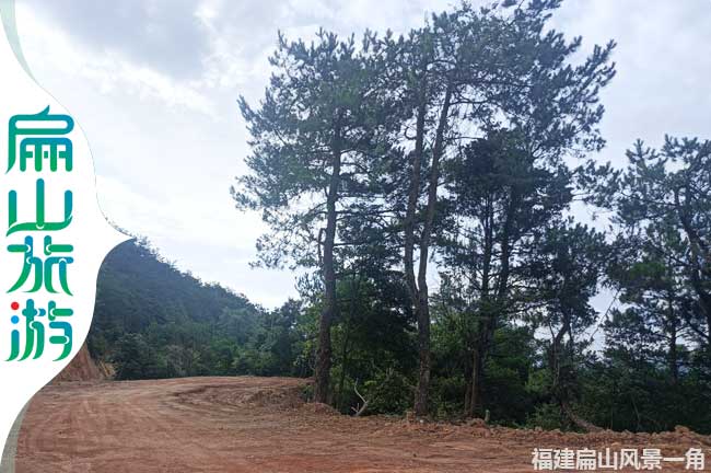 福建林業旅游公路