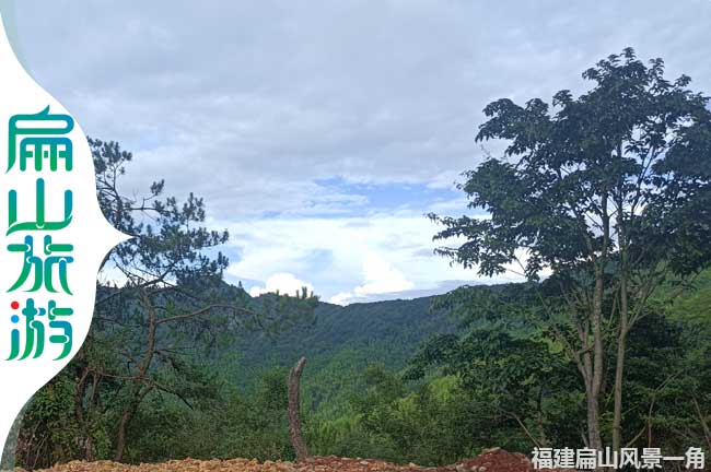 龍巖路樹風景一角