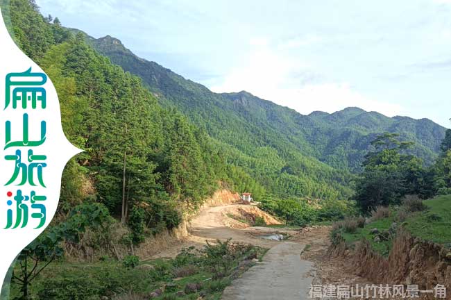 福建林業公路風景一角