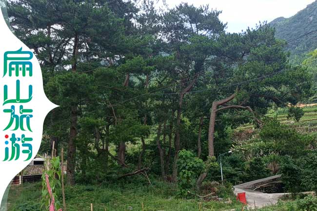 閩西松樹壩風景區